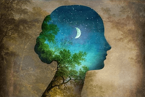 Silhuett av kvinnes ansikt