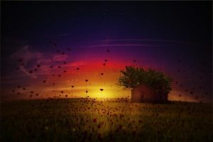 Emosjonell markedsføring: Å kjøpe følelser