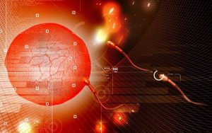 Det uønskede barnet