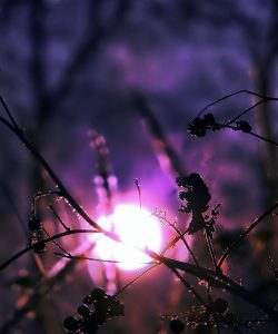 En reise inn i introspeksjonen