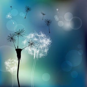 Slik frigjør du deg selv fra giftige mennesker