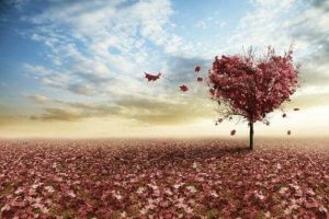 3 refleksjoner over kjærlighet av Erich Fromm