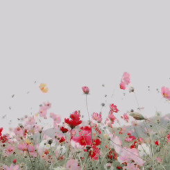 Blomster i vinden