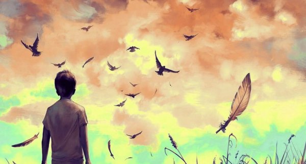 Gutt som ser på fugler