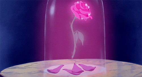 rose fra skjonnheten og udyret