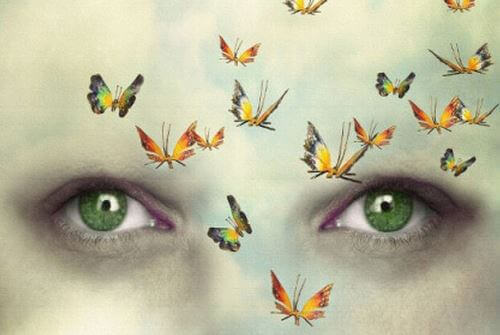 Øyne og sommerfugler