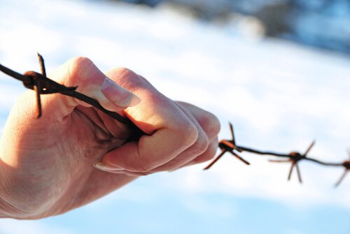 Hånd holder piggtråd