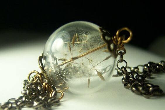 Løvetannfrø i glasskule