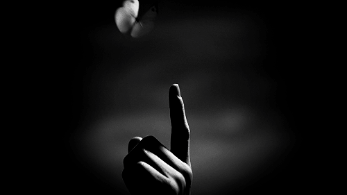 Sommerfugl setter seg på en finger