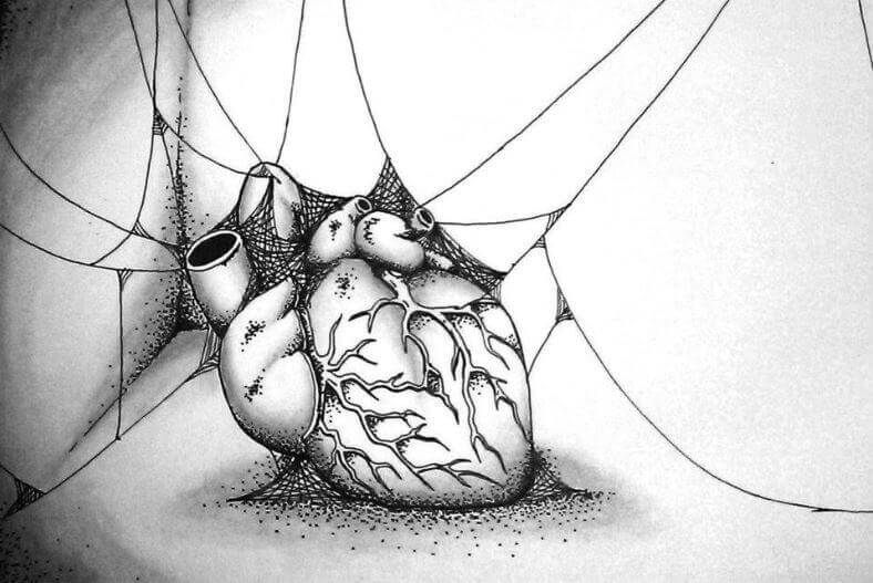 Hjerte med spindelvev