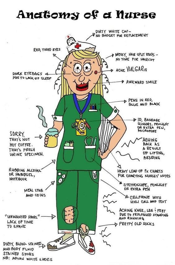 Anatomi av en sykepleier