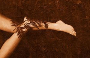 Bregnen og bambusen: En fabel om håp