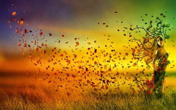 Hvis du ikke liker virkningen, ikke provoser frem årsaken