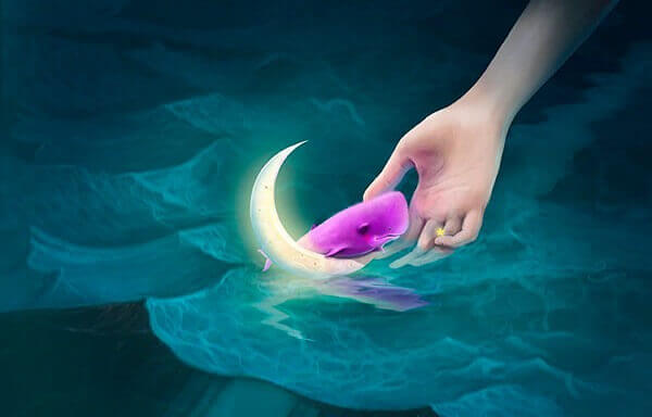 Rosa hval på månen