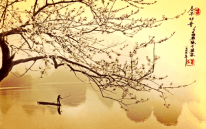 Haiku for å frigjøre dine følelser