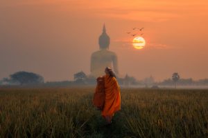 Den forgiftede pilen: En buddhistisk historie om å leve i nåtiden
