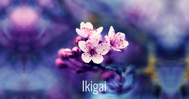 Ikigai-blomster