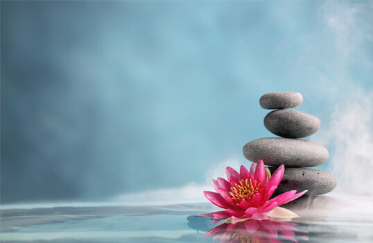 Mindfulness, steiner og en blomst