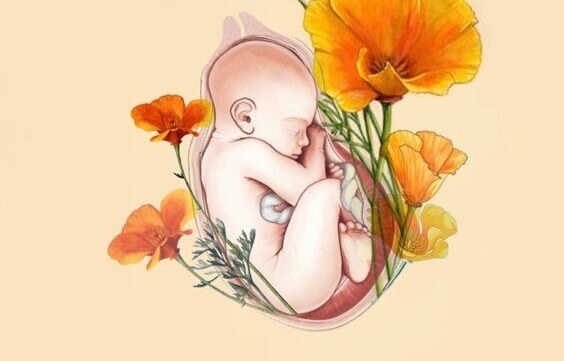 baby i livmor med blomster