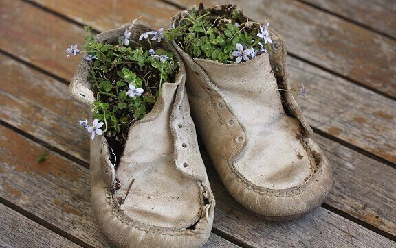 Blomster vokser i et par barnesko