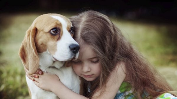 Den helbredende kraften i empati hos hunder
