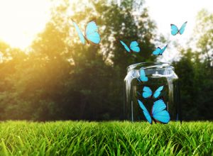 Kjenner du til lykkekrukketeknikken?