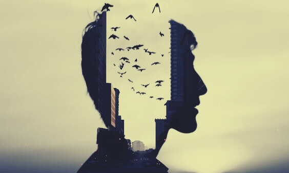 en manns profil med fugler som flyr ut av hodet