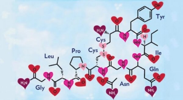 oksytocin, kjærlighetens kjemi