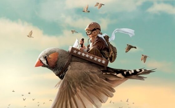 En gutt flyr på en fugl