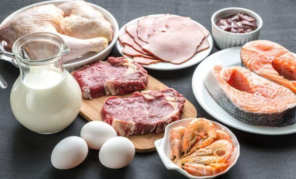 Proteinrike matvarer