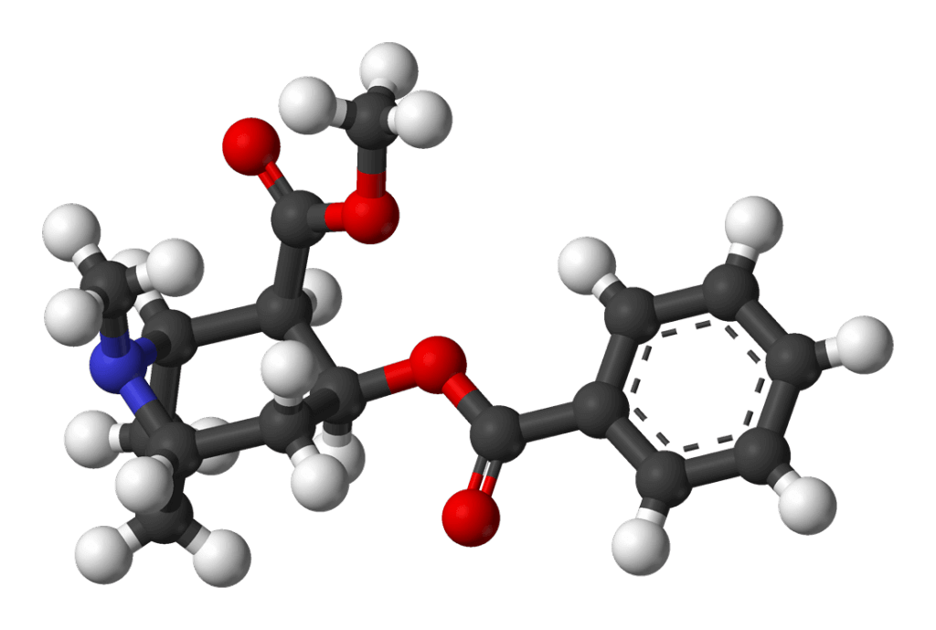 Kokainmolekyl