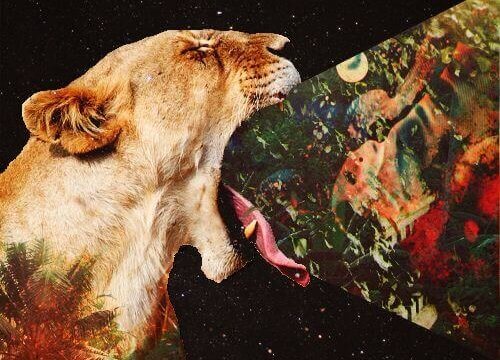 Løve spyr ut universet