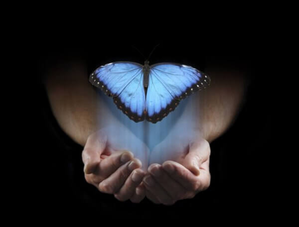 En blå sommerfugl i hender