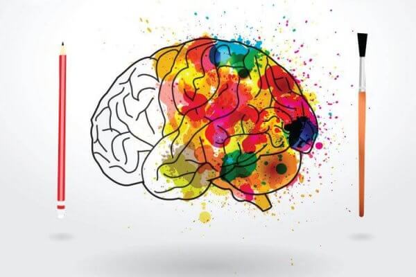 Hjerne fylt med farger