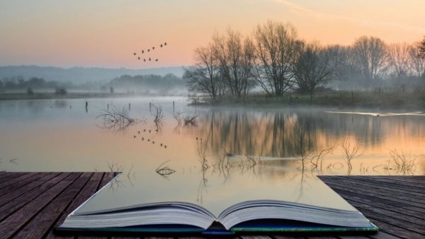 Åpen bok ved innsjø
