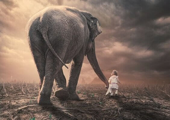 en liten jente og elefant som leier