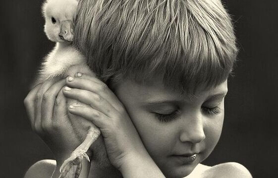 Et barn som holder en and