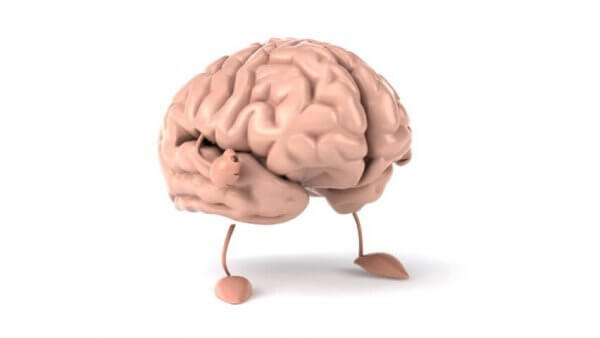 Hjernen