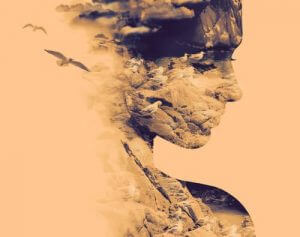 Hukommelsen og hvordan den fungerer