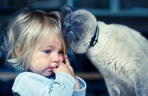 Katteterapi: 5 fordeler med å leve med katter