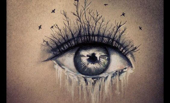 Tårer fra øye med trær som øyevipper
