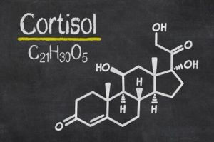 Kortisol, stresshormonet