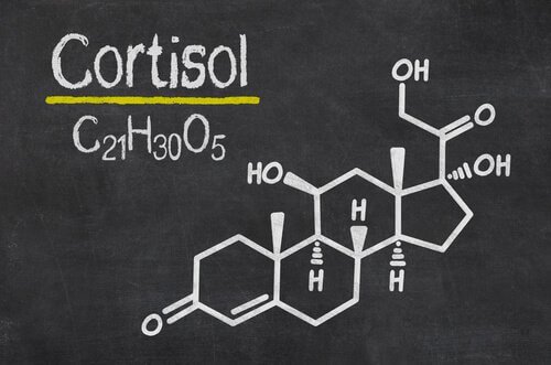 Kortisol, stresshormonet
