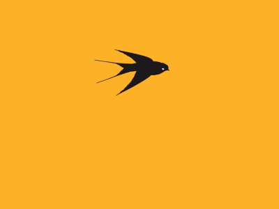 gif av en flygende, transformerende fugl
