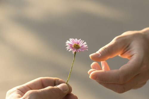 tilgivelse, og tilbyr en blomst