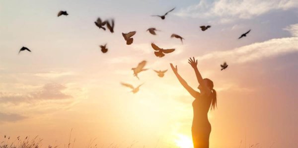 Frigjør fugler til frihet.