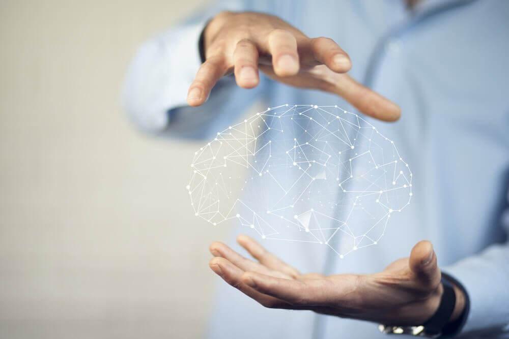 Hjernen og nevrovitenskapen.