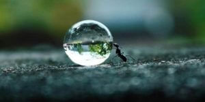 Utholdenhet er næringen til drømmer