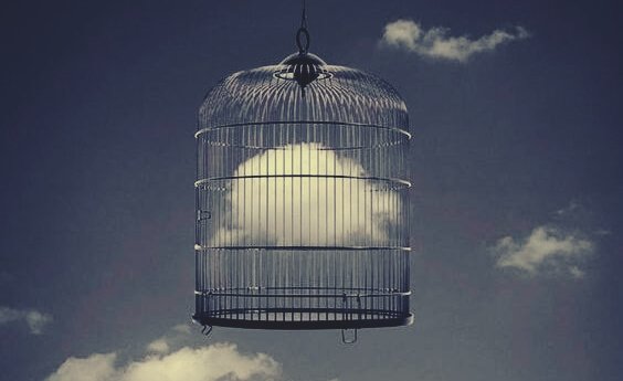 Sky i et bur