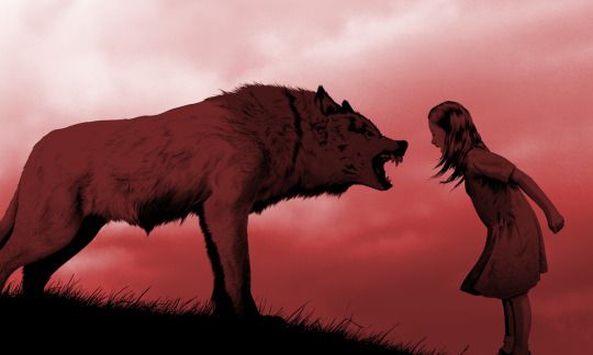 En ulv og en jente brølende på hverandre.